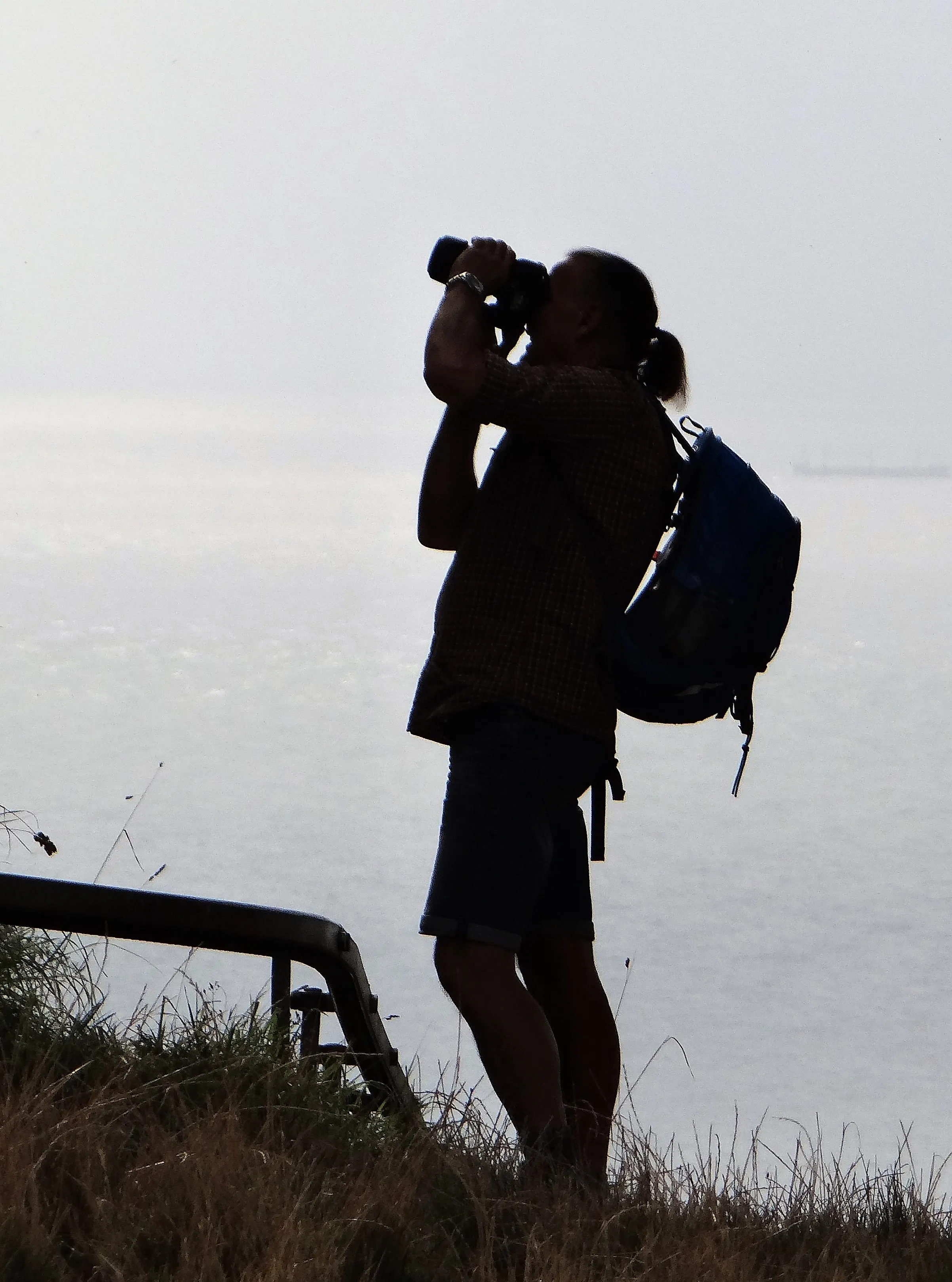 Die Welt durch die Linse betrachten