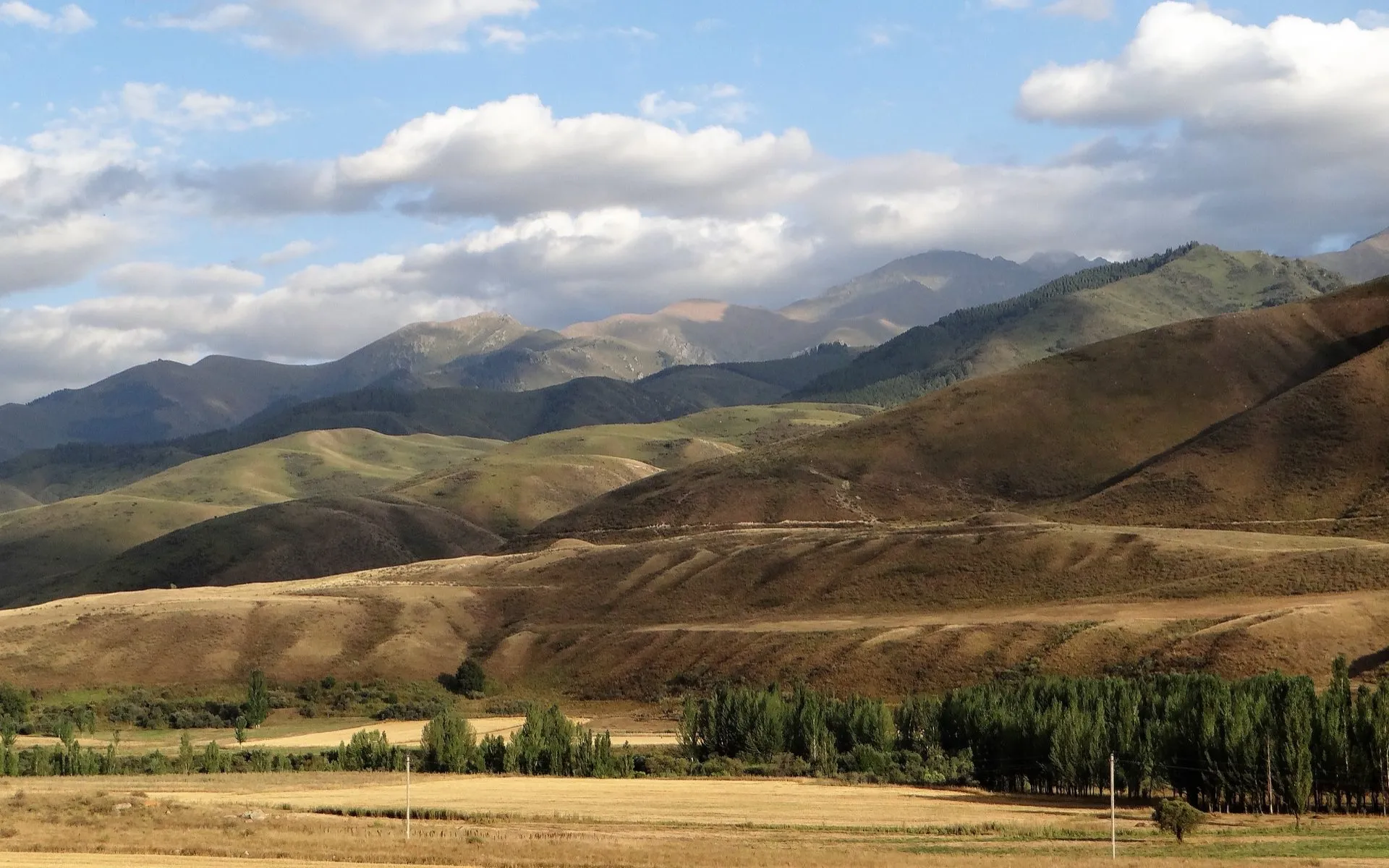 Hügelige Landschaft im Abendlicht