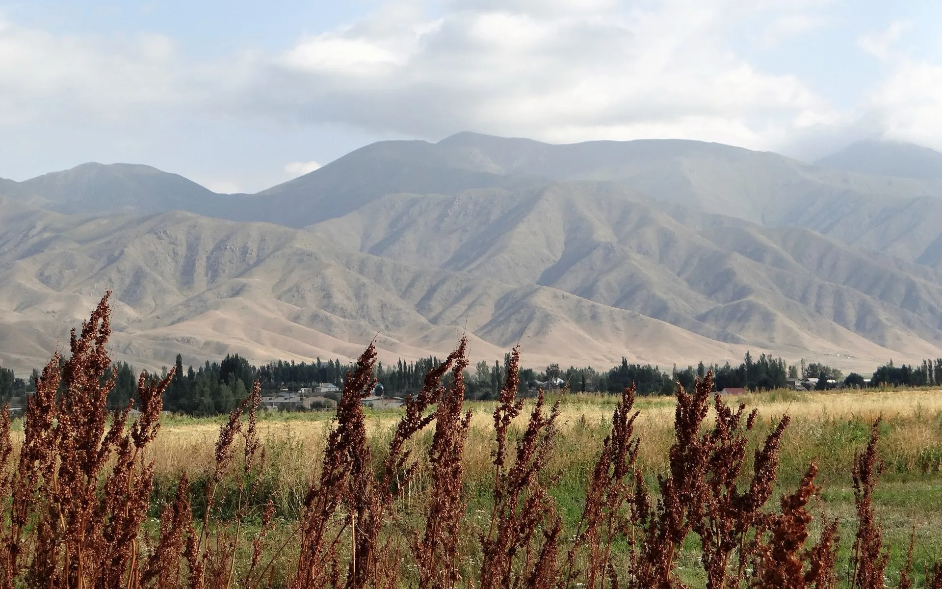 Weite Hochebene vor dem Baybiche Too Gebirge