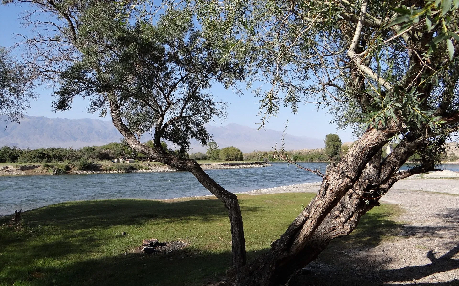 Flussufer mit Bäumen bei Bischkek