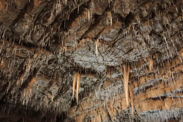 Stalaktiten und Tropfsteinformationen in der Lurgrotte