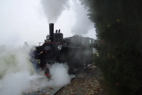 Dampflokomotive des Flascherlzugs im Schilcherland umhüllt von Dampfwolken