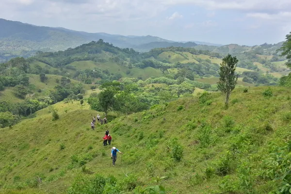 Wandergruppe auf dem Weg durch die grüne Hügellandschaft Panamas