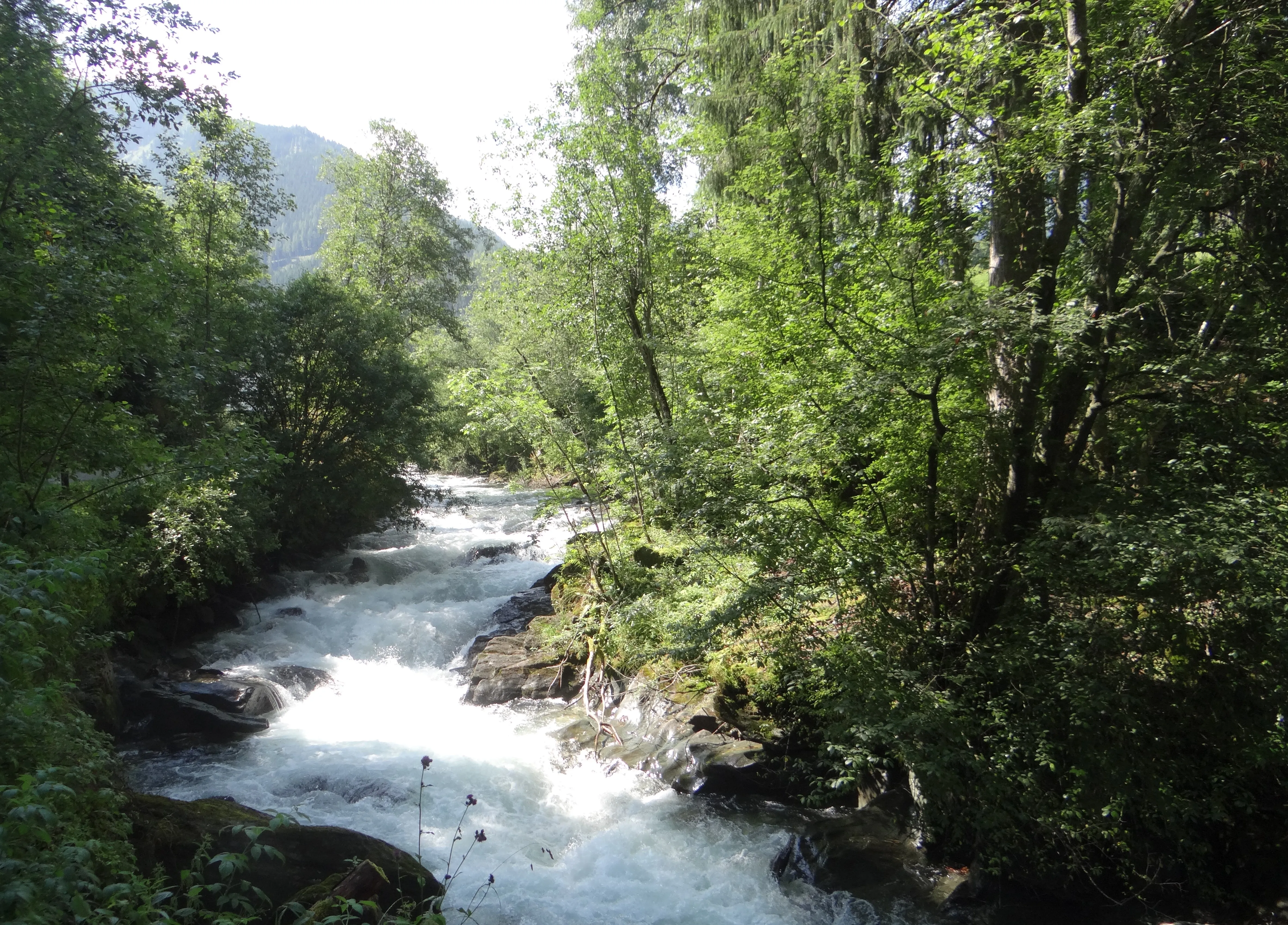 Suche nach der launischen Forelle